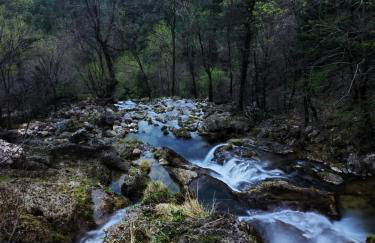 Casa Rural la Piedra del Cambrón - Foto 8