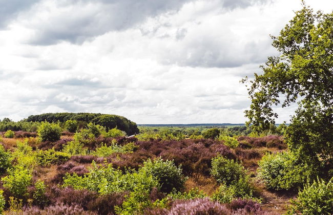 Comfortable Bungalow on the Veluwe - Photo 27