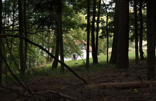 Wald-Apartment - Foto 14