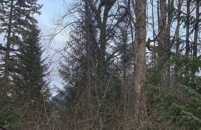 Bear Bottoms at Salmon Creek - Foto 21