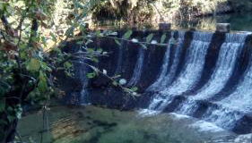 Nekasenea II - Foto 4