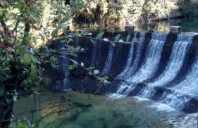 Nekasenea II - Foto 4