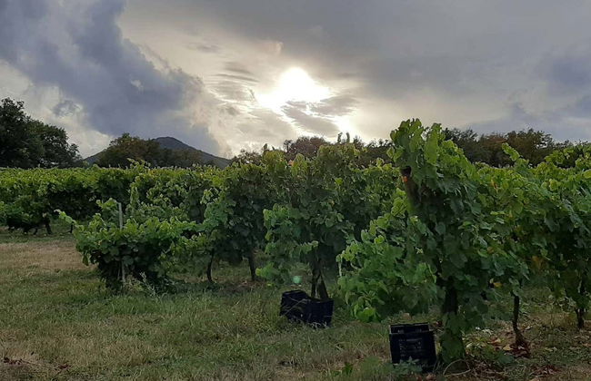 Visite guidée de la tour de Murga - Photo 8