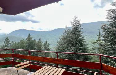 Chalet Del Bosco - Piccola Svizzera - Photo 11