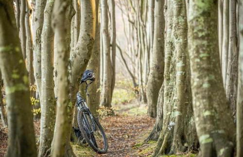 Wohnung im Sauerland mit Terrasse - Foto 32