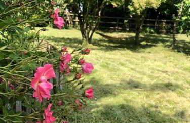 Beautiful thatched Dynes Cottage Finchingfield sleeps 10 - Foto 44