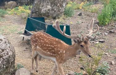 Sefardita - Guest House - Foto 38