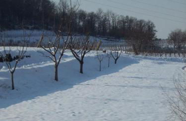 Agriturismo Cascina Rossano - Foto 74