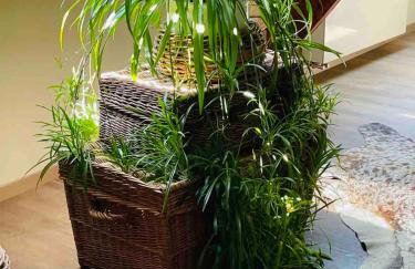 Ommelsbacher Mühle - Foto 71