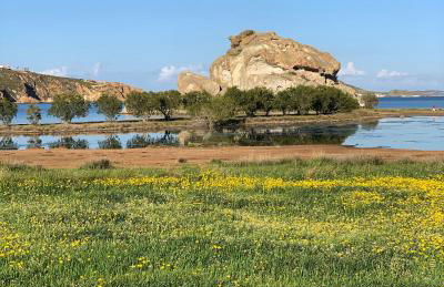 Patmos Villas - Foto 63