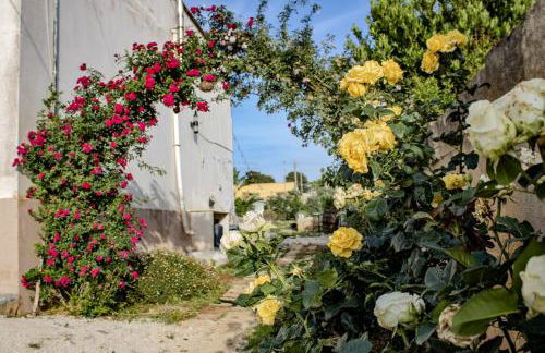 Soffio di sale - Foto 37