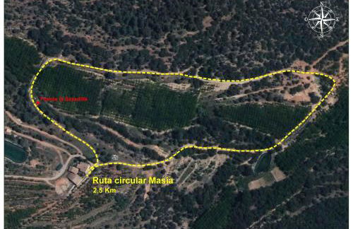 Masía Finca La Sazadilla con Piscina - Foto 40