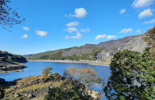 Cwt Mochyn - Foto 29