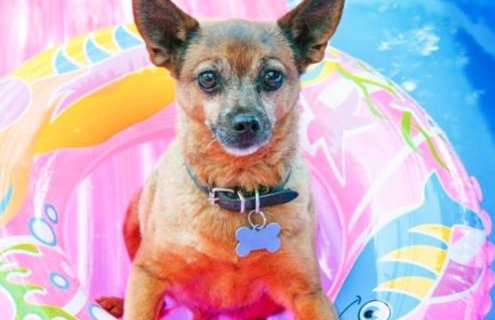 Flat em Salinópolis no Salinas Premium Resort - Foto 37