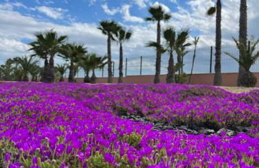 Casa Beau Murcia, Condado de Alhama - Foto 17