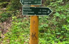 Ferienhaus Arno - Thüringer Wald - Foto 36