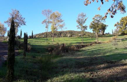 Agriturismo Aia Leccioni - Foto 50