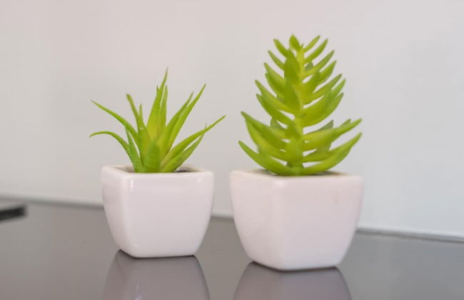 Quinta da Tia Briosa Palheiro II by Homie - Foto 18