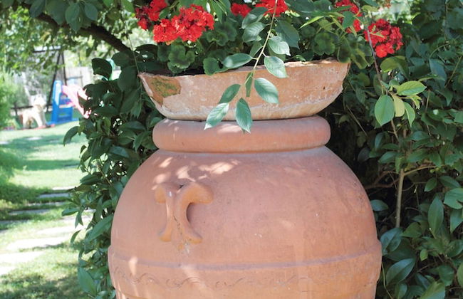 Agriturismo Le Stringaie - Photo 38