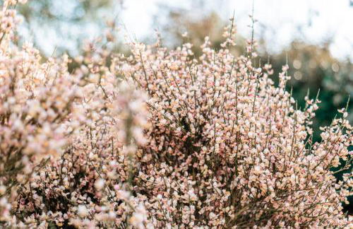 Tipoz'Immo - Belle Bretagne piscine chauffée - proche de la mer - wifi inclus - linge inclus et lits faits - jardin clos - animaux bienvenus - proche des commerces et des attractions touristiques - Foto 10
