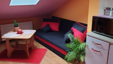 Agroturystyka Świerki - Foto 4