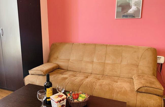 Beautiful Cosy Studio Apartment in Bansko - Photo 11