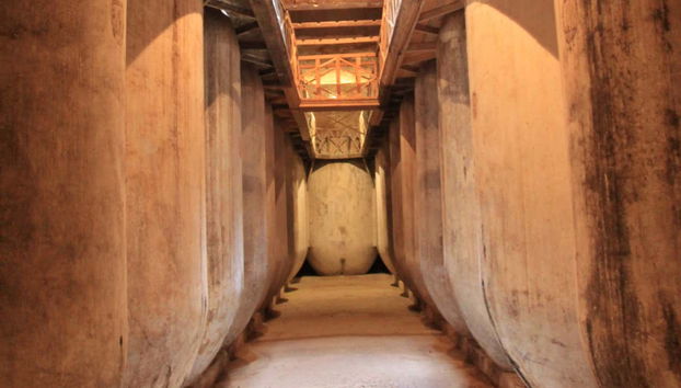 Visita a las cuevas-bodega de Tomelloso - Photo 5