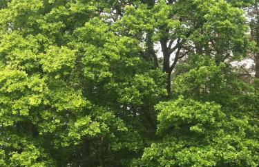 Lodge with log burner Contractors business private parking free Wi-Fi near M4 - Foto 61