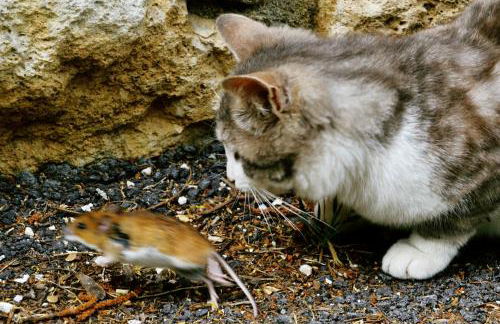 Agriturismo Tholos - Photo 54