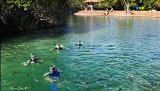 Casa em Bonito - Foto 3