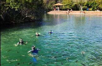 Casa em Bonito - Foto 3