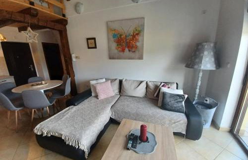Apartman ZARA - Fužine - Foto 18