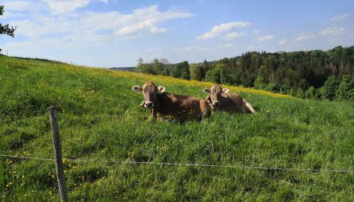 Jägerstüble - Foto 5