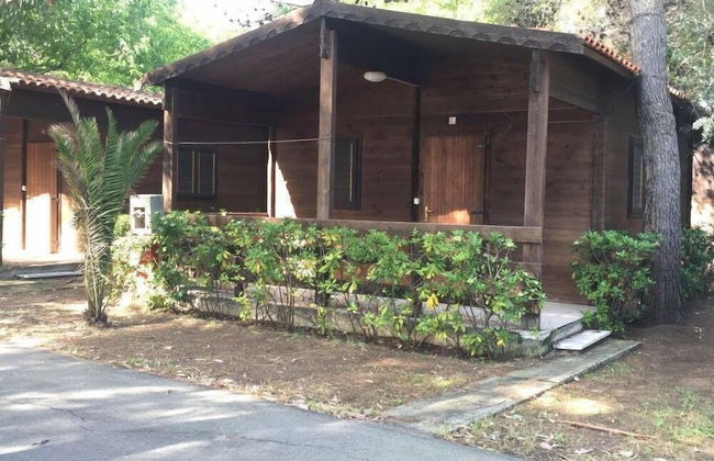 Viola Club Village - Photo 39