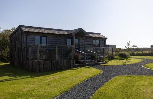 The Pig Arc - Foto 75