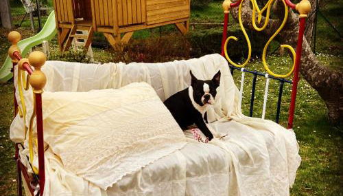 Le Coccole Del Trasimeno - Foto 2