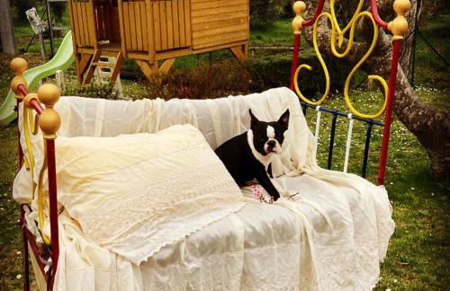 Le Coccole Del Trasimeno - Foto 2