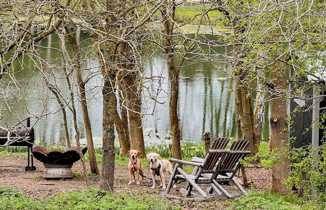 North Norfolk Glamping - Foto 27