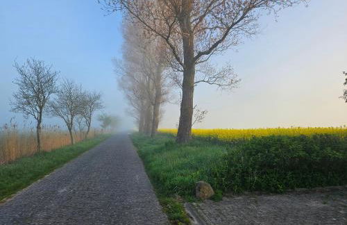 Villa Friesenkät - Deichblick - Photo 3