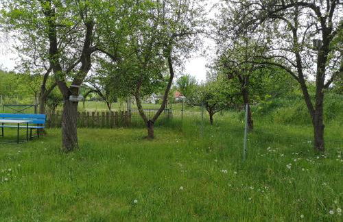 Ferienwohnung im Vogelhaus mit Dachterasse und großem Garten - Foto 32