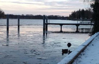 Maaß'ens Ferienhaus - Foto 27