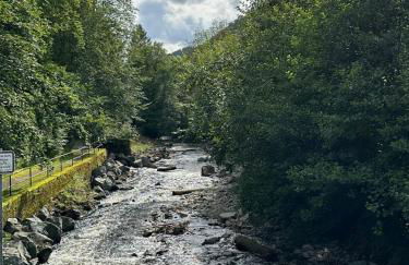 Ferienbutzen Harz in Sieber - Foto 19