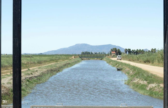 Ebro Delta Bird Watching Tour - Photo 1