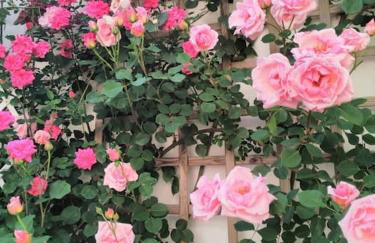 Villa Rural Campillo de Arenas - Foto 31