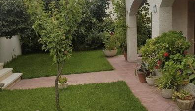 La Casita de Ana - Foto 4