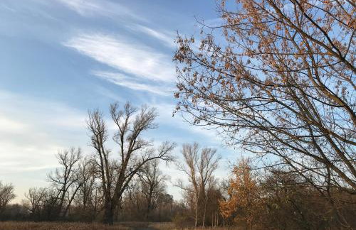 Andrzejówka - Photo 74