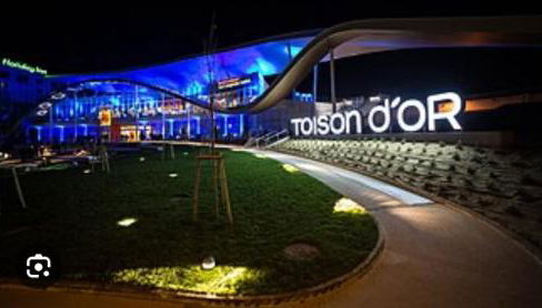 Appartement Toison d'Or - Foto 4