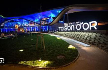 Appartement Toison d'Or - Foto 4