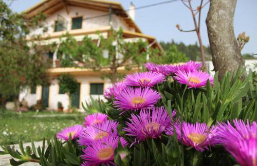 Fissas Rooms - Foto 64