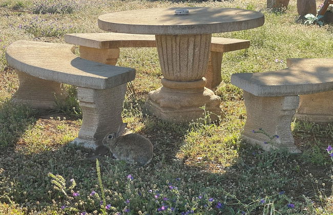 Les Chalets de Tesa - Foto 45